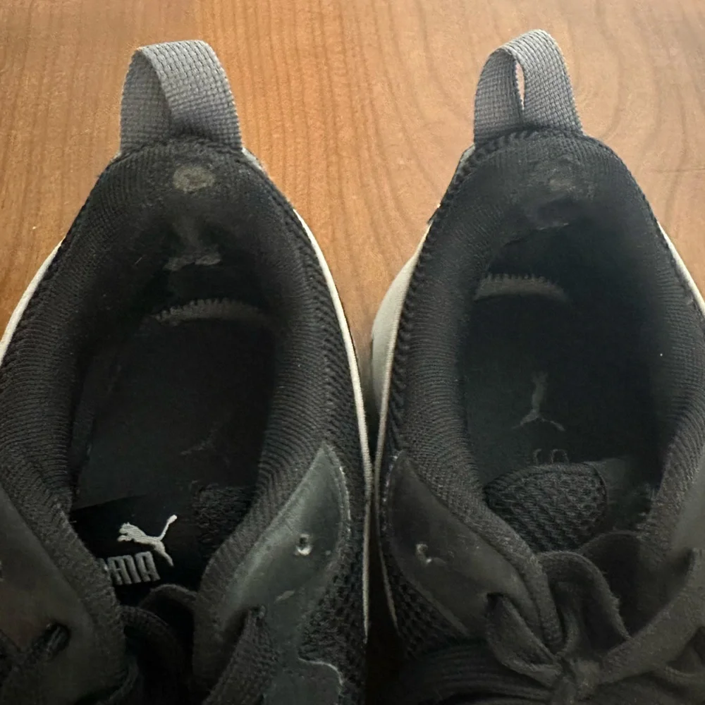 Puma pumax ray